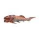 thumbnail image 5 of Figura De Dunkleosteus, Figura Realista De Animal Para Niños Mayores De 3 Años, Regalo De Cumpleaños De 1779, 5 of 5