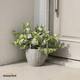 thumbnail image 4 of Eucalipto Planta Artificial con Macetero Decoración SunnyYard, 4 of 4