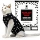 thumbnail image 1 of Traje de recuperación postoperatoria para gatos Kedi Cats Solutions, talla mediana, negro, 1 of 9