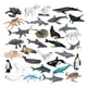 thumbnail image 2 of 32 Figuras De Animales Marinos Falsos Para Niños Y Niñas, Recuerdos De Fiesta, Accesorios De Enseñanza, 2 of 3