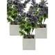 thumbnail image 1 of Plantita Artificial Deco Altura 30 Cm.., 1 of 2