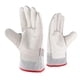 thumbnail image 1 of Guantes criogénicos Sindayo -260°C para nitrógeno líquido LN2, 1 of 8