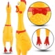 thumbnail image 3 of Juguete de goma Squeeze Chicken Poplay para niños, adultos y perros, 3 of 6