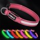 thumbnail image 1 of Collar para perros LIT&GO de 7 colores con luz y recargable USB‑C, 1 of 8
