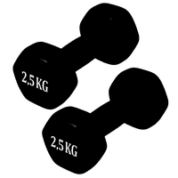 Linea Sport - Par De Mancuernas 2,5 Kg C/U Total 5 Kg Hexagonales De Vinilo