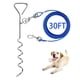 thumbnail image 1 of Cable de amarre para perro Evilplan de 9 m con estaca espiral de 41 cm, 1 of 7