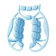 thumbnail image 3 of Rodillo Muscular De Mano Para Piernas, Herramienta De Masaje Con 24 Ruedas Para Cintura, Color Azul, 3 of 5