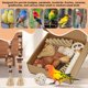 thumbnail image 3 of Juguete para aves ZooVibe Caja de forrajeo DIY para loros y periquitos, 3 of 8
