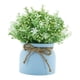 thumbnail image 2 of Pequeñas Plantas Artificiales En Maceta Para Bodas, Oficina, Orquídea Falsa, Flor De Frijol En Maceta Azul., 2 of 5
