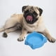 thumbnail image 5 of Comedero para gatos, alivia la fatiga de los bigotes, comederos antideslizantes, comederos poco profundos, 5 of 6