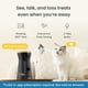 thumbnail image 2 of Paquete Cat Camera Furbo 360° + Nanny con alertas de seguridad para el hogar, 2 of 6