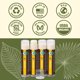 thumbnail image 5 of Bálsamo labial Earth's Daughter Explosión Cítrica Pack de 4 Orgánico, 5 of 9