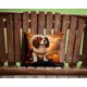 thumbnail image 2 of Almohada Decorativa Cavalier Spaniel Fall, 2 of 6