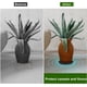 thumbnail image 5 of Paquete de 12 platillos para plantas, bandejas redondas de plástico de 6, 8 y 10 pulgadas para plantas de jardín en interiores y exteriores, que recogen el drenaje de las macetas y el exceso de agua., 5 of 7