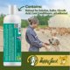 thumbnail image 4 of Shampoo para perros HAPPY JACK alivio para la picazón medicado 473 ml, 4 of 9