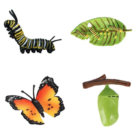 Ni?os Educativos Ciclo De Insectos Crecimiento De Mariposas Juguetes Preescolares Juego De Roles B