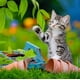 thumbnail image 4 of RAVENSBURGER PUZZLE GATOS - 3X49., 4 of 4