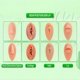 thumbnail image 5 of Uni-J Herramienta de bola para cambiar joyas de piercing - Kit de dilatación sin hilo/hilo interno/hilo externo 14G 16G 18G 20G con 25 piezas para oreja, nariz, ombligo, pezón, labio, ceja y lengua, 5 of 8
