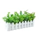 thumbnail image 3 of Planta De Flores Artificiales, Regalos Decorativos, Planta Falsa Para Dormitorio, Hogar, Boda, Eucalipto, 3 of 5