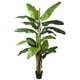 thumbnail image 2 of Banano de 240 cm., 2 of 2