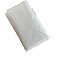 Bothyi - Bolsa De Globos Para Transporte, Bolsa De Almacenamiento Gigante Transparente Para Celebración, Graduación, Longitud 2,5 M, Ancho 1,5 M