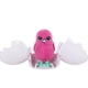 thumbnail image 3 of Casa para incubar pollitos sorpresa de Little Live Pets, de juguete coleccionable, 3 of 3