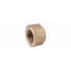 thumbnail image 1 of Tapa de tubo Anderson Metals 738108-08 1/2 in IPT, 1 of 3