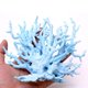 thumbnail image 5 of Adorno para Acuario Besimple 17x14x4 cm Azul Claro, 5 of 7