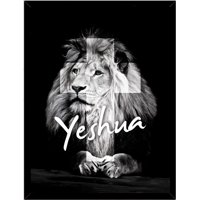 Genérico - Cuadro Decorativo Yeshua Medidas 30X40 Cm