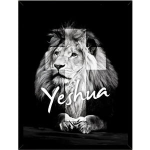 Genérico - Cuadro Decorativo Yeshua Medidas 30X40 Cm