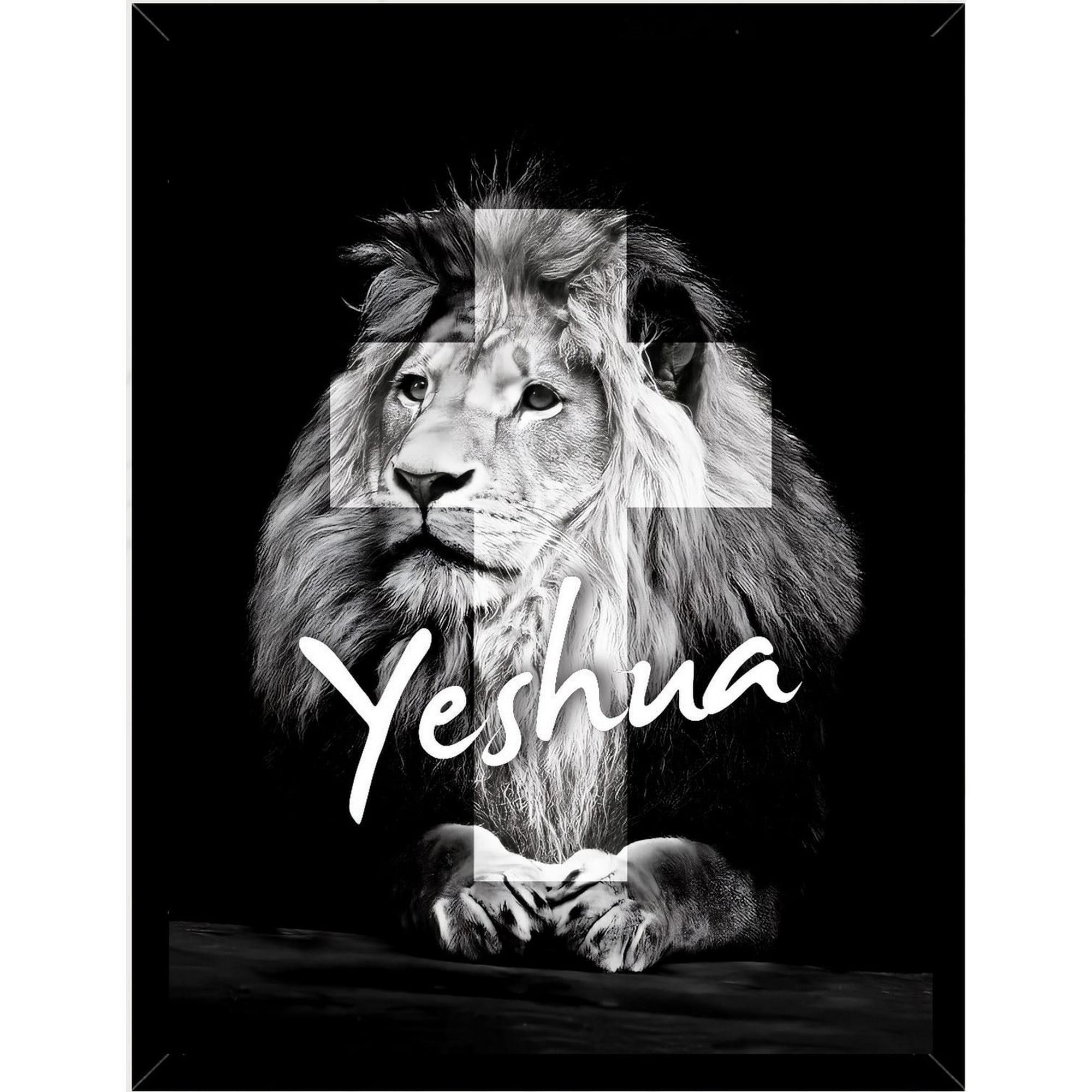 Genérico - Cuadro Decorativo Yeshua Medidas 30x40 Cm