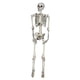 thumbnail image 4 of Calavera De Esqueleto De Simulación De 185 Cm Chic Para Fiestas Temáticas De Porche De Casa Embrujada, 4 of 5