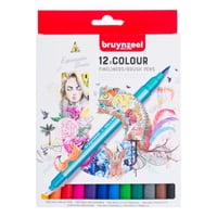 Marcadores Punta Fina Y Pincel Bruynzeel 12 Colores