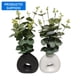 thumbnail image 1 of Planta Artificial Deco 689, 1 of 1