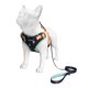 thumbnail image 4 of Arnés para perros Jack & Bully, chaleco antideslizantes de neopreno, 4 of 9