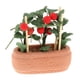 thumbnail image 5 of Mini Planta Verde Macetas Macetas Casa De Mu?ecas Accesorios Mu?ecas Muebles De Casa 5x2x6cm, 5 of 5