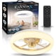 thumbnail image 1 of Ventilador de Techo CannonX 14 Pulgadas Flush 2200 lm, 6 Velocidades, 1 of 3