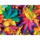 thumbnail image 2 of Rompecabezas MasterPieces Fall Frenzy 550 piezas, 2 of 8