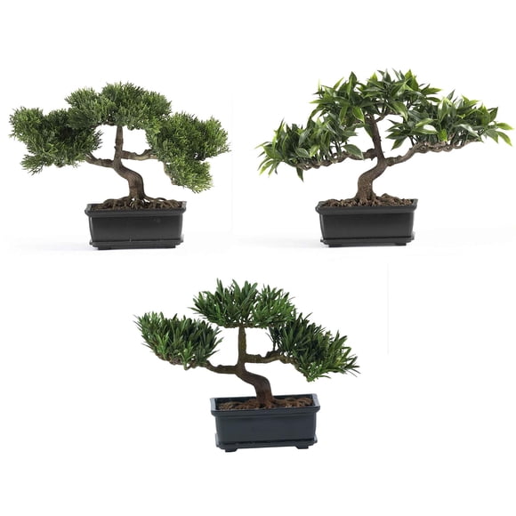 Bonsái Silk Plant Collection casi natural, 30 cm (juego de 3)