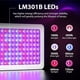 thumbnail image 2 of Luz LED Grow Light King Plus de 1200 W de espectro completo para interiores, 2 of 8