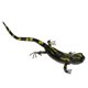 thumbnail image 2 of insectos de arcilla muy simulados al azar animales de color modelo juguetes lagarto, 2 of 5