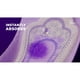 thumbnail image 2 of Toallas Poise Incontinencia 6 Gotas Ultimate 52 Unid Regular, 2 of 3