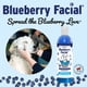 thumbnail image 4 of Champú para mascotas South Bark's Blueberry Facial 355 ml, 4 of 9