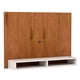 thumbnail image 2 of Panel Tv Baden 55, 2 of 4