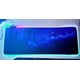 thumbnail image 3 of Mousepad Gamer Led RGB USB 80X30cm, 3 of 3