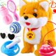 thumbnail image 1 of Juguete de Peluche HCdoujoy Corgi que Camina, Ladra y Canta, 1 of 8