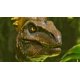 thumbnail image 2 of ARK: Survival Ascended para PS5 - Studio Wildcard, 2 of 8