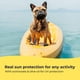 thumbnail image 5 of Protector solar Gentle Creatures Dog SPF 30+ con vitamina E 60 ml, 5 of 6
