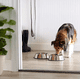 thumbnail image 2 of Plato acero inoxidable perros/gatos 20cm plateado, 2 of 3