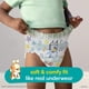 thumbnail image 2 of Pantalones de entrenamiento Pampers Easy Ups Bluey, tallas 6T-7T, 70 unidades, 2 of 3